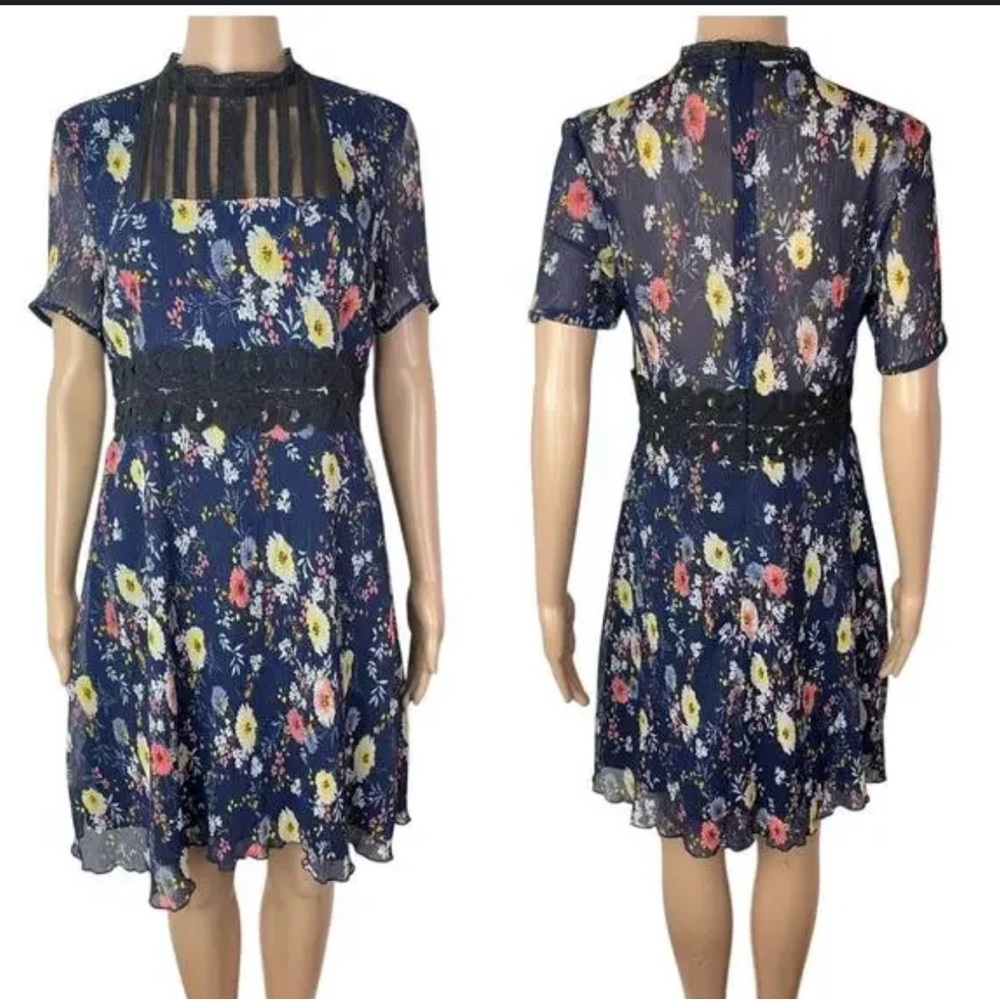 Anthropology Foxiedox Andorra Floral Sheer Top Lined Dress Size Medium/M
